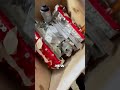 HE PUT FERRARI ENGINE IN A DELOREAN 🤬😳🚘