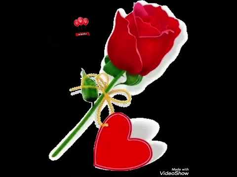 በዝክ ቢዲዮ ቡዙ ነገር ትማሩበታላችሁ 