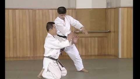 Yoshinkan Aikido - Hanmi Hantachi Katate Mochi Shihonage Ichi
