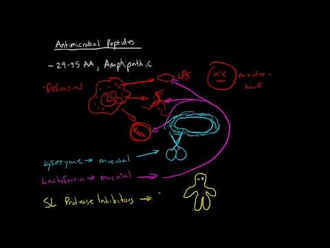 امیونولوجی - اینٹی مائکروبیل پیپٹائڈس
