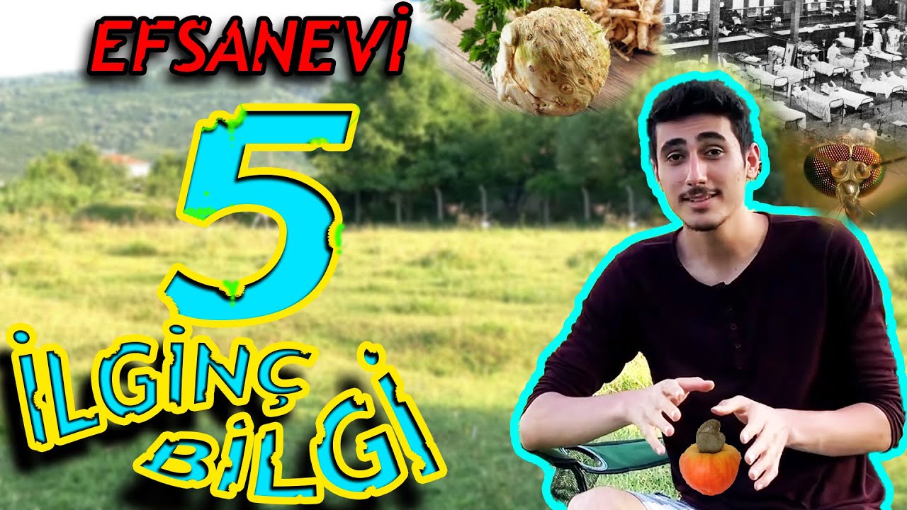 KULAKLARINIZA İNANAMAYACAĞINIZ 5 BİLGİ | İLGİNÇ BİLGİLER #1