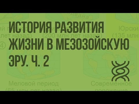 История развития жизни в мезозойскую эру. Ч. 2. Видеоурок по биологии 11 класс