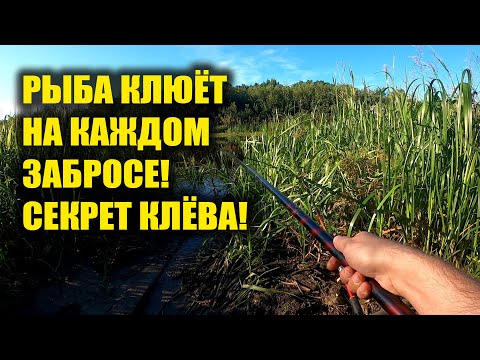Рыба клюёт на каждом забросе! Рыбак рассказал секрет клёва рыбы!