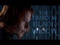 Natasha Romanoff | The Famous Black Widow