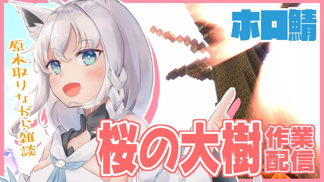Minecraft：ホロ鯖に桜の大樹をのんびり作る作業。【ホロライブ/白上フブキ】