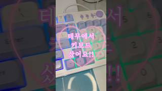 테무 키보드 ASMR (테무 키보드  EWEADN G98 게이밍 저소음 키보드 리뷰)