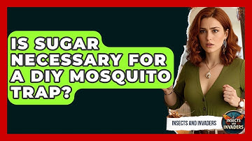 Is Sugar Necessary For A DIY Mosquito Trap? - Insects and Invaders