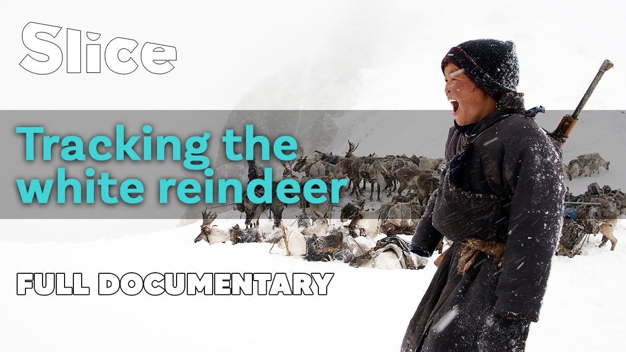 Tracking The White Reindeer | Slice | Full Documentary