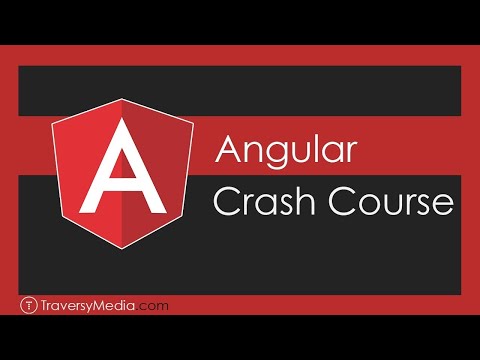 AngularJS The Model View Full Crash Course 2021