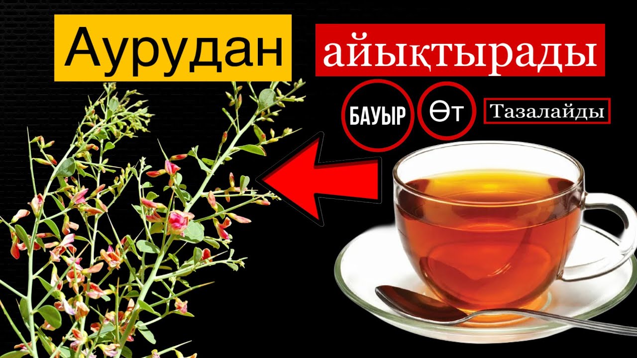 Кәріптас порно онлайн