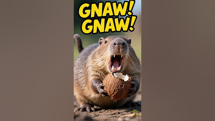Capibara transformed into a mouse. #funny #animals #automobile #shortsvideo