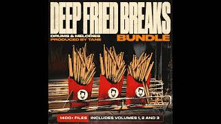 Tane - 'DEEP FRIED BREAKS BUNDLE' 1400+ Sounds For Making Grimy Boom Bap - Full Preview