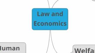Full Introduction to Law and Economics Guide