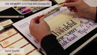 ZIG Memory System Brushables Net Worth