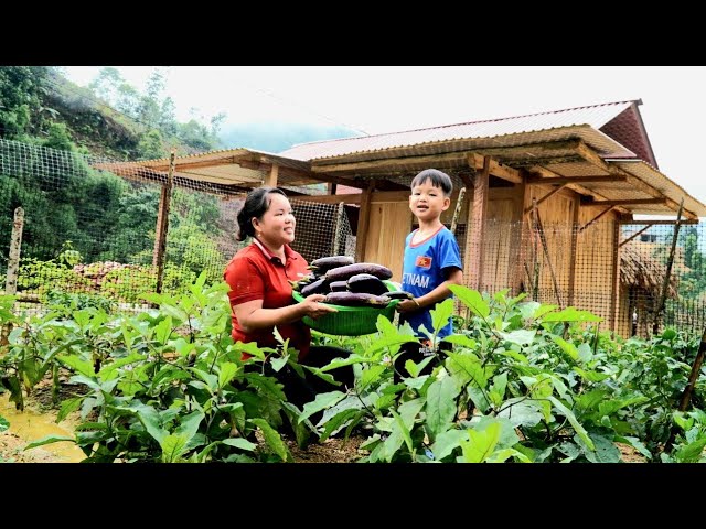 Building a new house - Mother and daughter cut eggplants to sell. class=