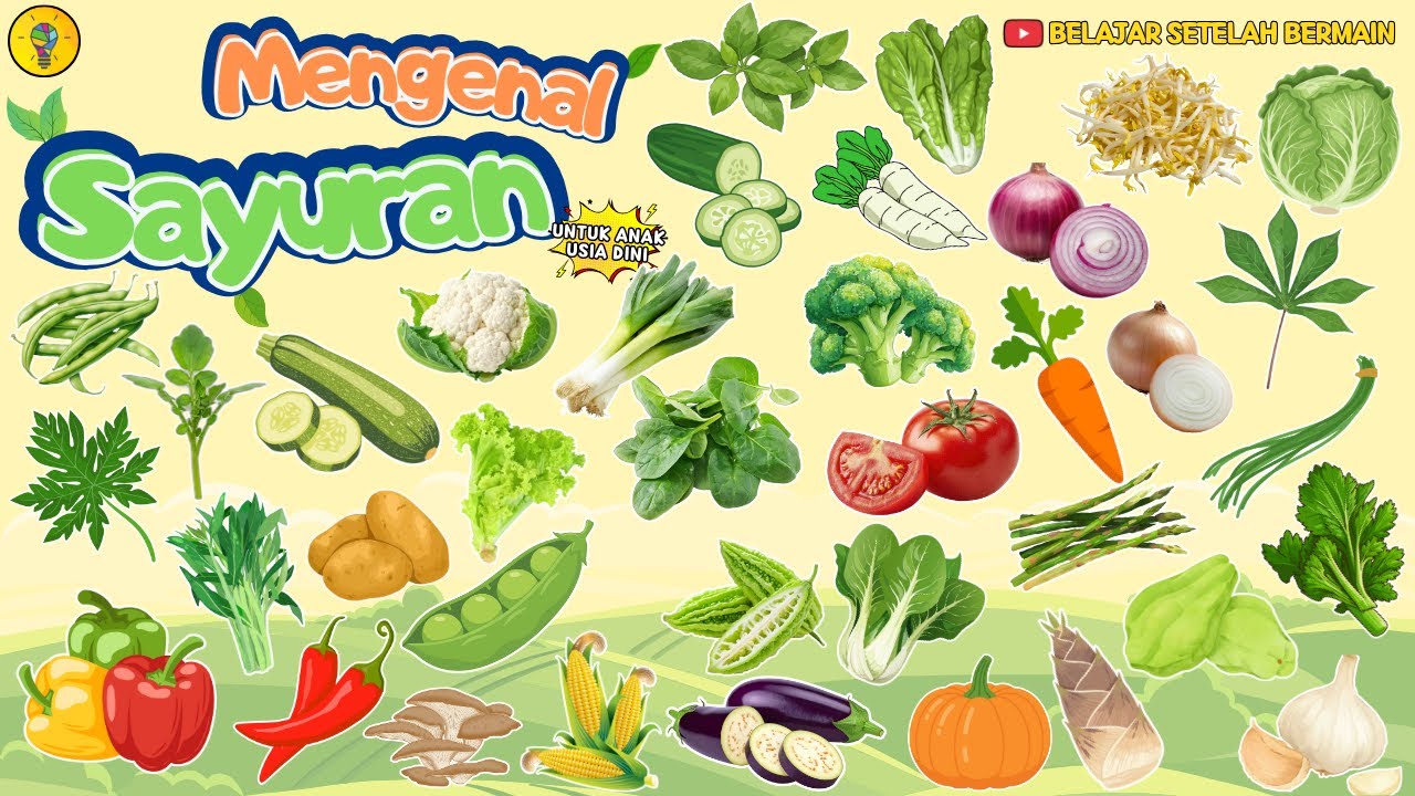 Mengenal Nama-Nama Sayuran || Belajar Mengenal Sayuran untuk Anak Usia Dini