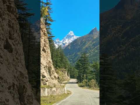 #ytshorts #youtubeshorts #youtube #shorts #shortvideo #viral #viralvideo #viralshorts #gangotri #yt