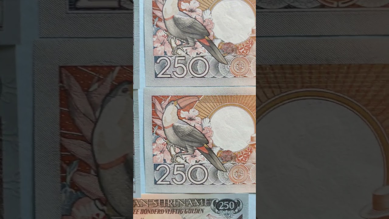 Suriname 250 Gulden Colorful Birds Theme Notes 