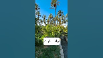 الذين إذا ذكر الله وجلت قلوبهم وإذا تليت عليهم آياته زادتهم إيمانا﴾ | تلاوة خاشعة بصوت صديق المنشاوي