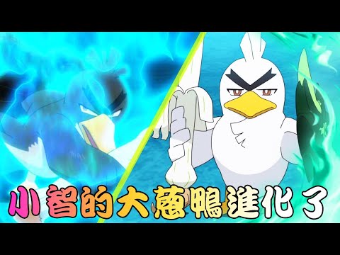 帶你一次看完久違的智爺主場 小智的大蔥鴨終於進化成蔥遊兵了！