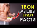 10 Продуктов Для Роста Мышц