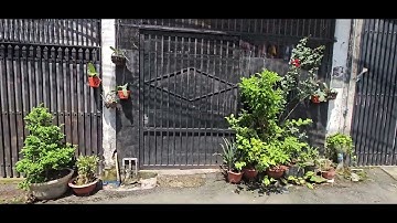 Đất lớn 239m thổ cư 100% ngay làng đại học quốc gia Tphcm p. Đông Hòa Dĩ An