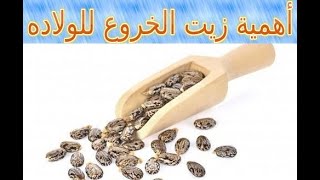 هل زيت الخروع يسهل الولادة ؟ ... مخاطر زيت الخروع