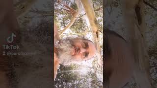 Detruemeco. Esperanto