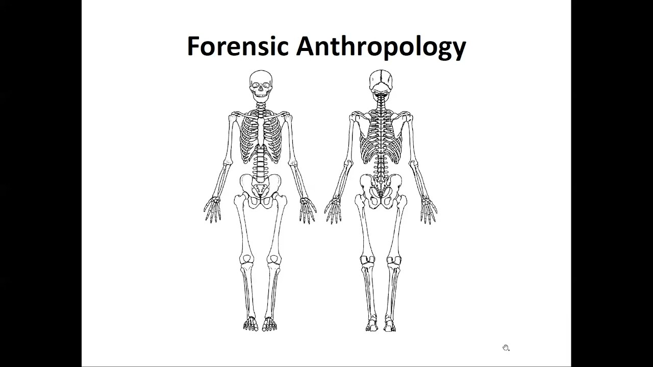 Change on the Horizon: Forensic Anthropology and Ancestry Estimation