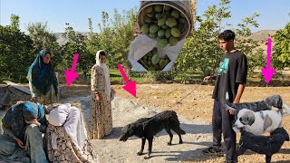 Stealing a tent. 😭Lots of tears from a mother and a worker, and bringing a dog🐕 screenshot 4