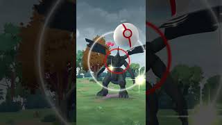 Pokémon GO: Perfect Zekrom Encounter/Le rencontre de Zekrom Parfait (June/juin 2026)