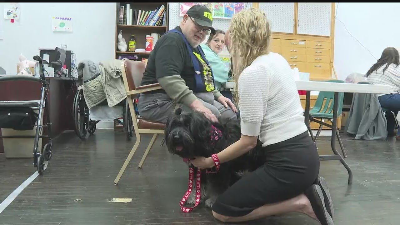 It's been a 'ruff' year; Cedric the service dog wants to help