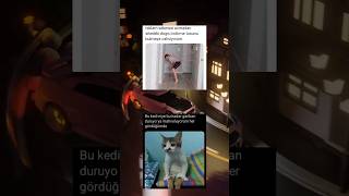 Çok mazlum #itzy #keşfet #keşfetbeniöneçıkar #memes #öneçıkar #keşfetteyiz