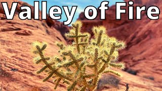 Valley of Fire Travel Guide