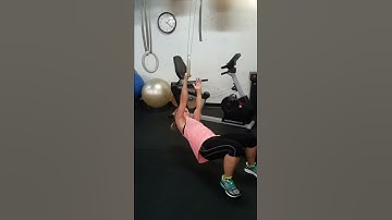 Single arm inverted row.