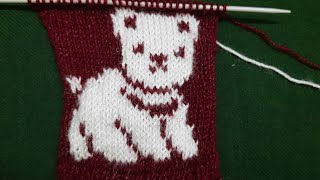 Cat Design 🐈 for sweater