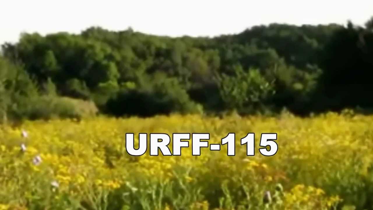 WFF EXPEDITION   "HRABOVO-2012"