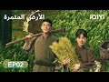 الحلقة 02 الأرض المثمرة This Thriving Land IQIYI Arabic 