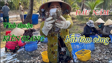 PHUOC CANADA ĐẦU NĂM ĐI XEM BẮT TÔM CÀNG  -miền Tây. Vĩnh thuận kiên giang