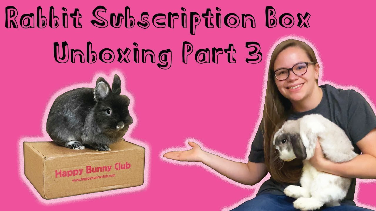 Rabbit Box S00 - Sport und Lifestyle GI0866