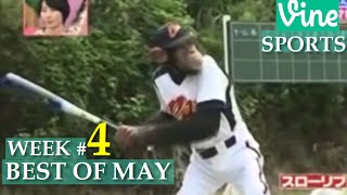 Best Sports Vines 2015 - MAY Week 4 | Best Sports Moments Compilation 2015
