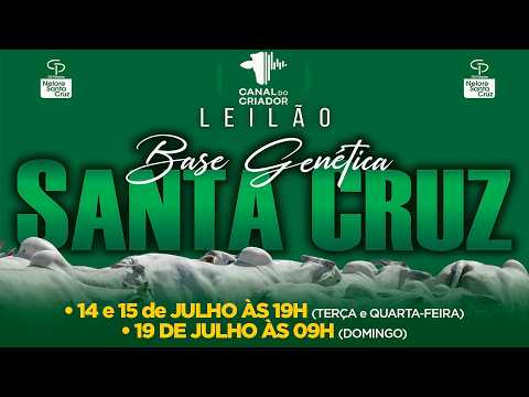 LOTE 169