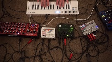 Synth Meets Pedal - Neutron into Andromeda Delay into EHX Grand Canyon into Empress Reverb