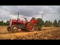 Planting pumpkins in wet soil.| Vlog17