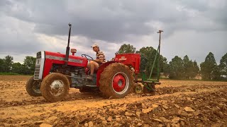 Planting pumpkins in wet soil.| Vlog17