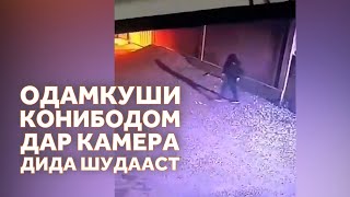 картинка: Сияҳпӯшон дар хонаҳои мардуми ваҳшатзадаи Конибодом чӣ меҷӯянд?