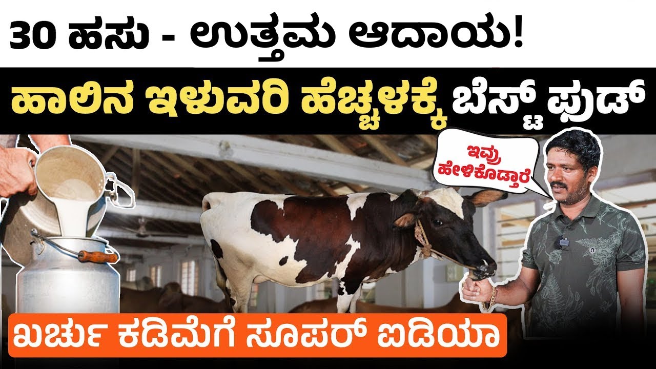ಹೈನುಗಾರಿಕೆ ಈ ರೀತಿ ಮಾಡಿ ಲಾಭ ಗಳಿಸಿ! Cow Selection, Silage Tips & Profit | Dairy Farming Secrets 2025