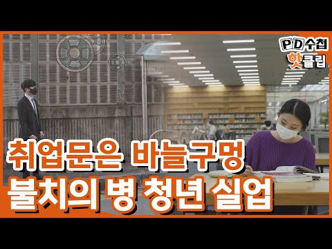   PD수첩 핫클립 대한민국 청년들의 이유 있는 취업 분투기 MBC 2022년 1월4일 방송
