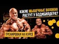 Как тренироваться на курсе / Химику не нужна сила?