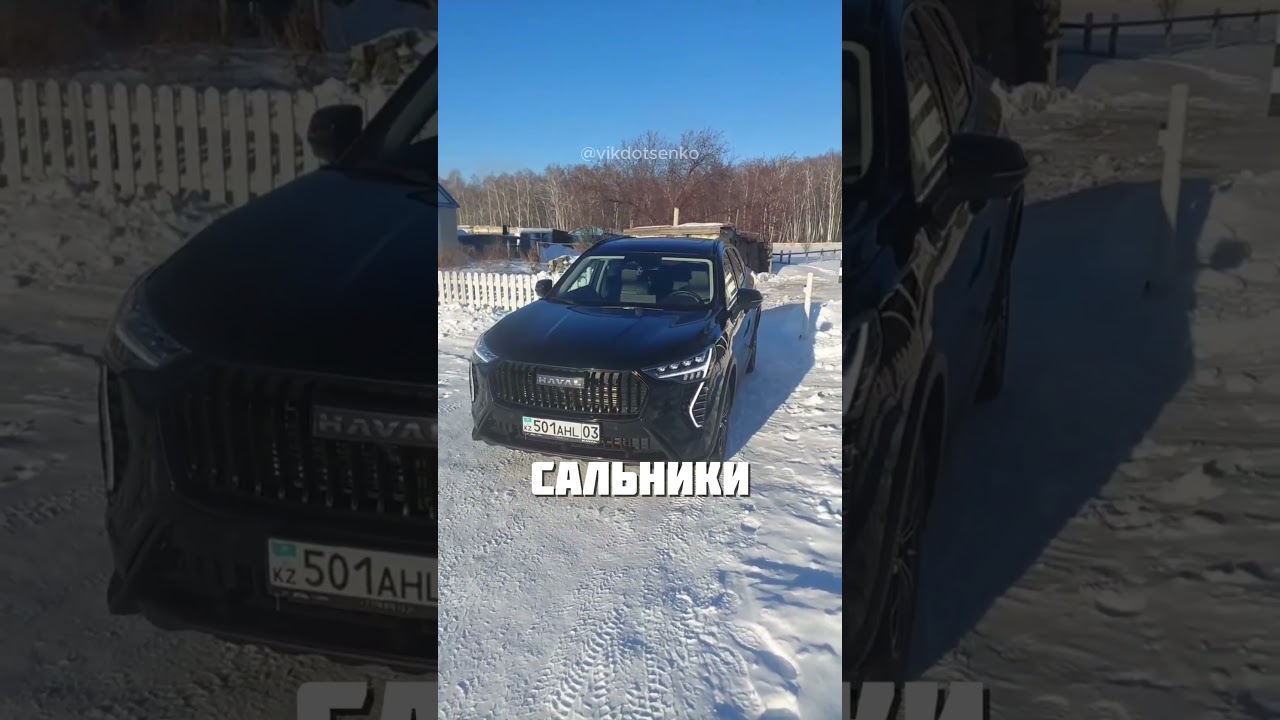 ВОТ ВАМ И ЯПОНЕЦ @vikdotsenko